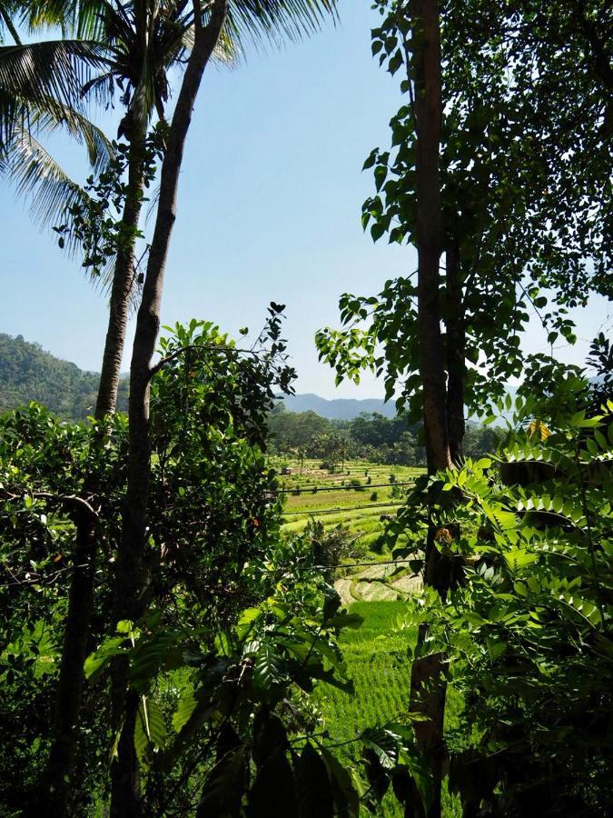Green Vanilla Bungalow Sidemen (Bali) Exterior foto