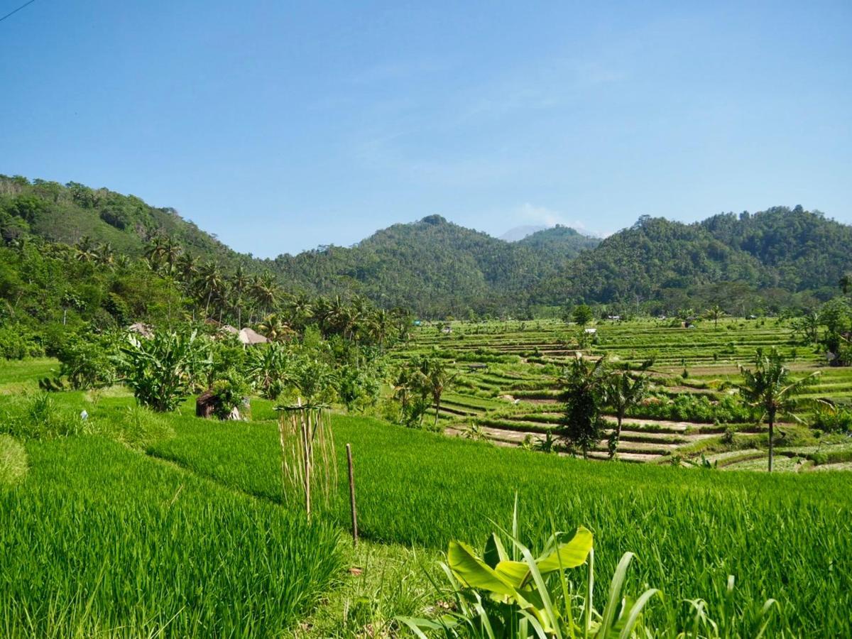 Green Vanilla Bungalow Sidemen (Bali) Exterior foto